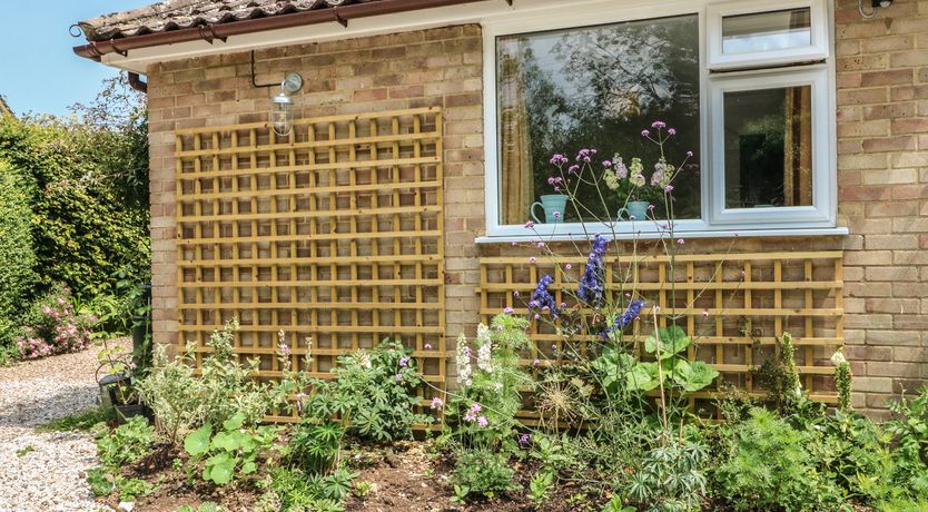 Photo of Little Yaffle