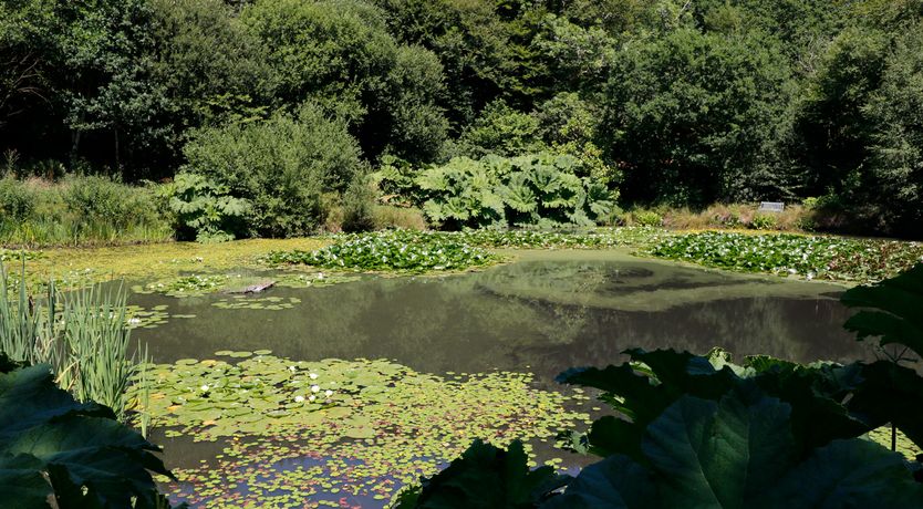 Photo of Jane's Place