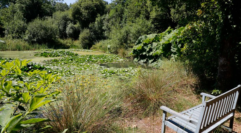 Photo of Jane's Place