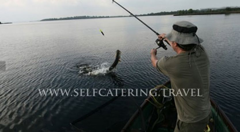 Photo of Killaloe luxury Self catering