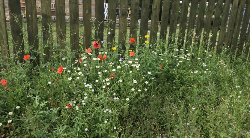 Photo of Stable Cottage