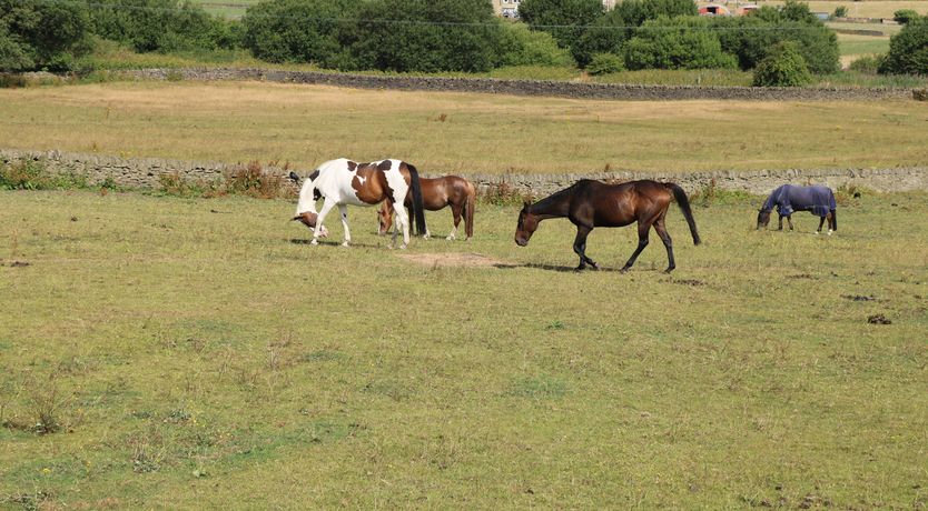Photo of West End House