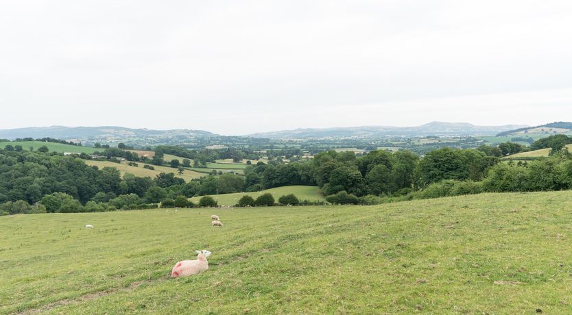 Photo of Waggoners Cottage