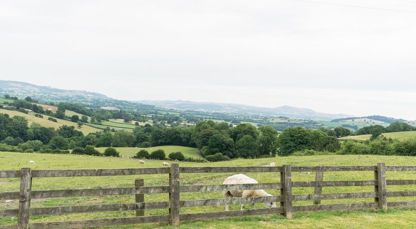 Photo of Waggoners Cottage