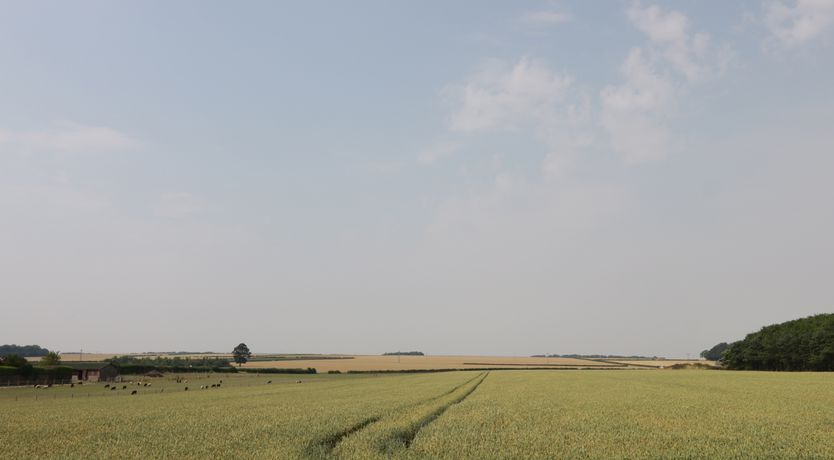 Photo of Corner View