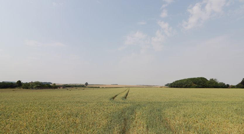 Photo of Corner View