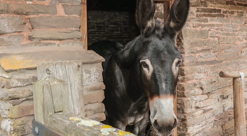 Photo of The Cow Cott