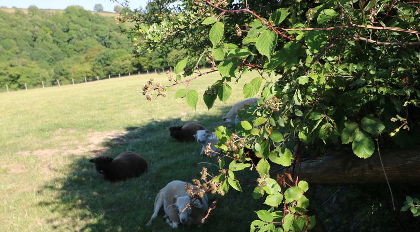 Photo of Stable Cottage