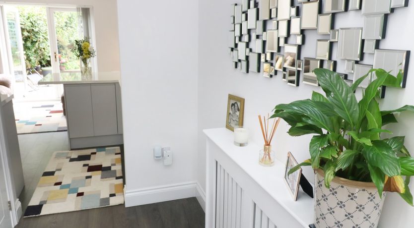 Photo of Little Pippin