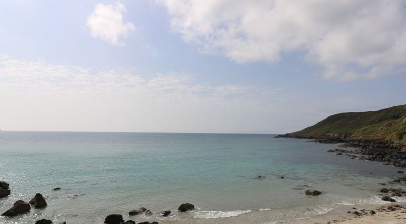 Photo of Gannet Watch