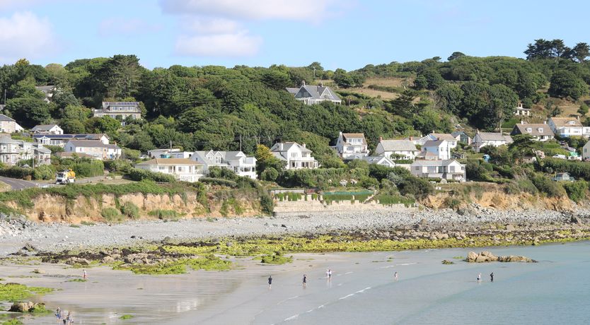 Photo of Gannet Watch