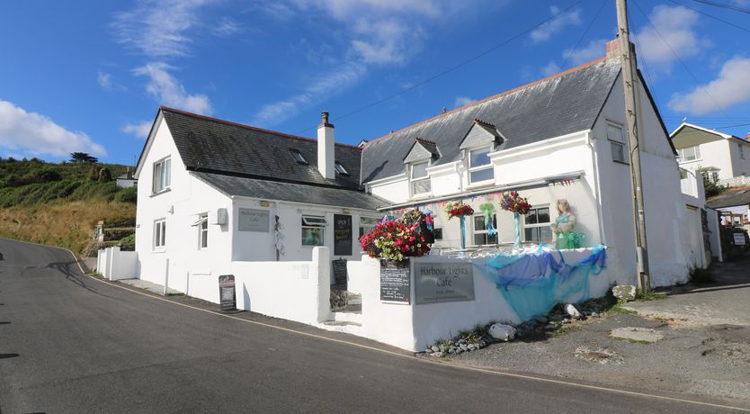 Photo of Gannet Watch