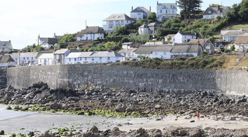 Photo of Gannet Watch