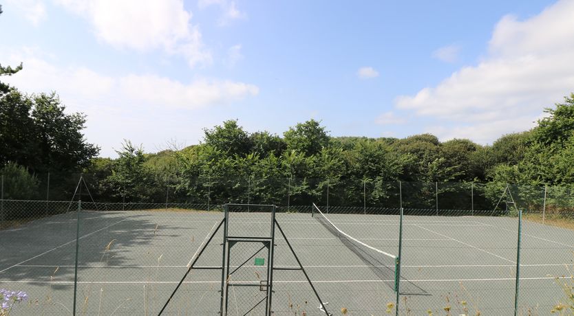 Photo of Gannet Watch