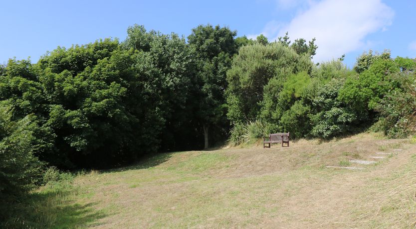 Photo of Gannet Watch