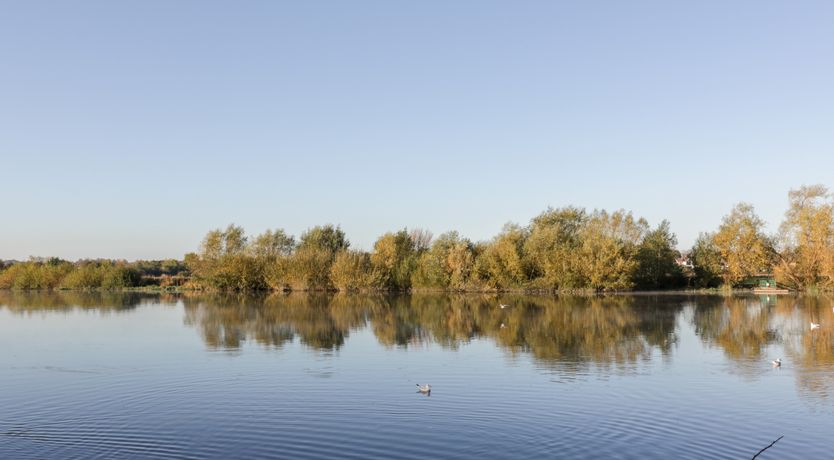 Photo of Dee Heights Penthouse