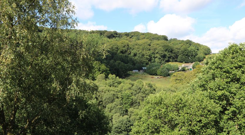 Photo of Hove Wood View