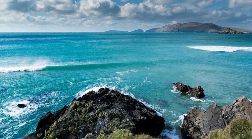 Photo of Atlantic Rest