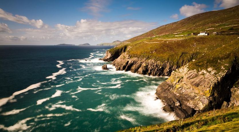 Photo of Atlantic Rest