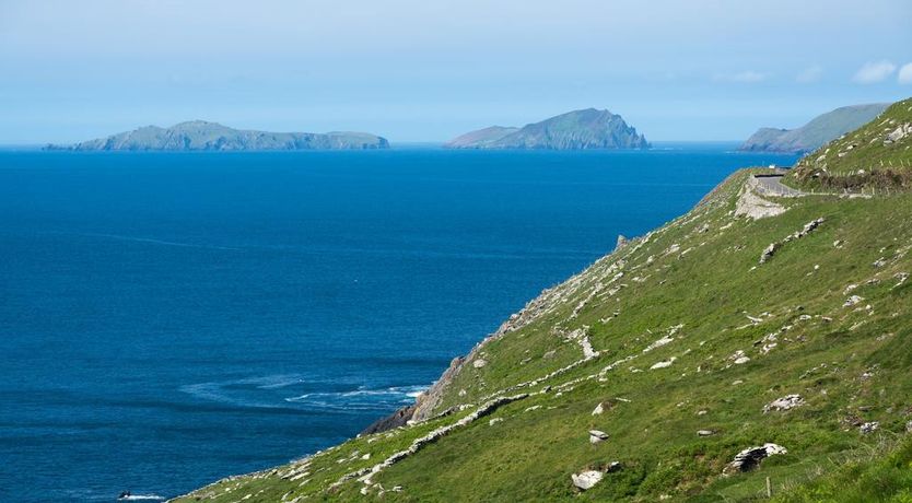 Photo of Atlantic Rest