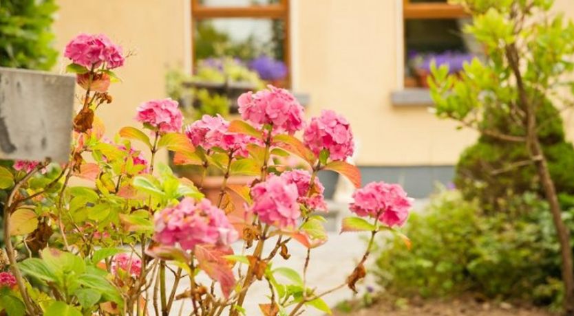 Photo of Cahergal Luxury Farmhouse