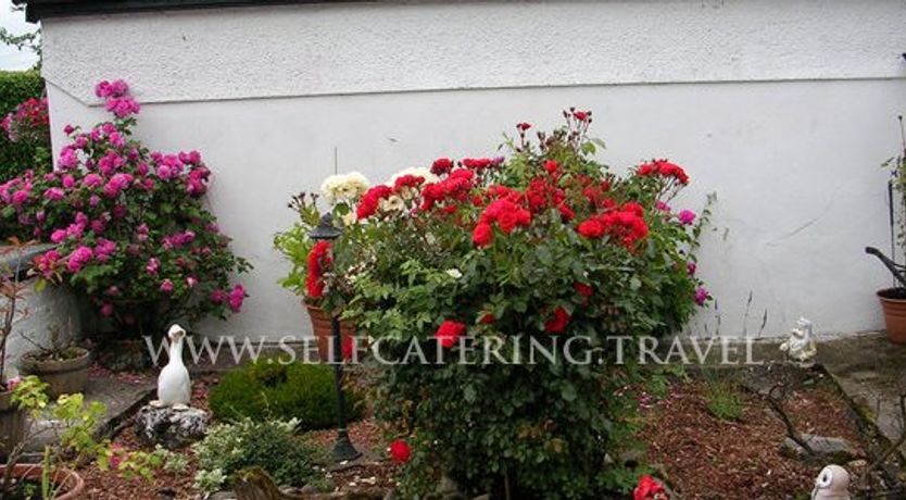 Photo of Shannon BreezeCottage