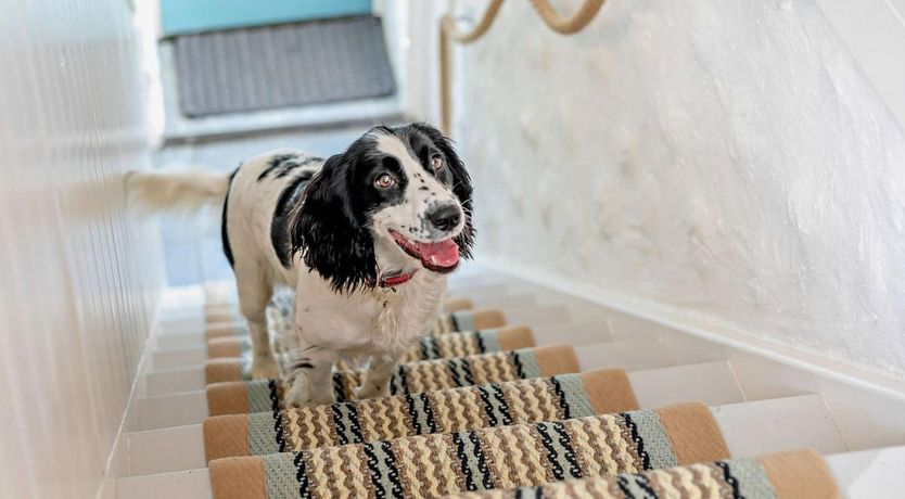 Photo of 3 Bed in Woodford