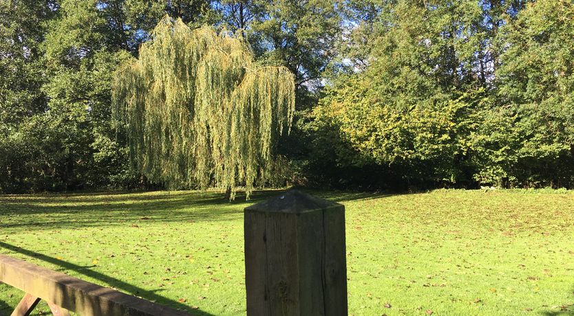 Photo of Zeal Cottage