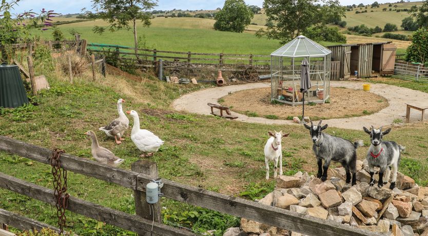 Photo of The 'Stables'