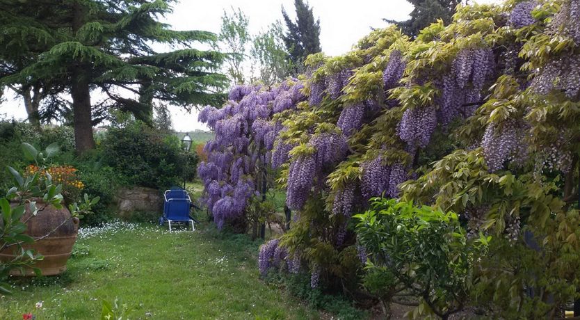 Photo of CHIANTIHOUSE Il Poderino