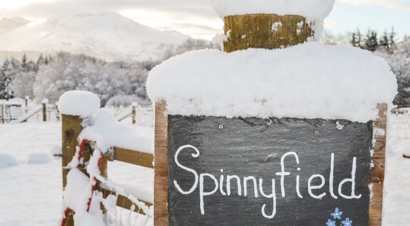 Photo of Spinnyfield