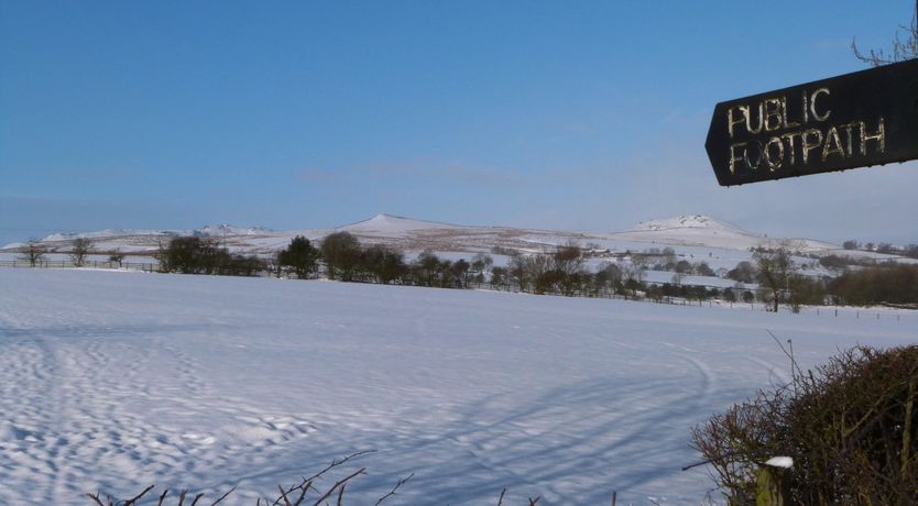 Photo of Woodpecker Lodge
