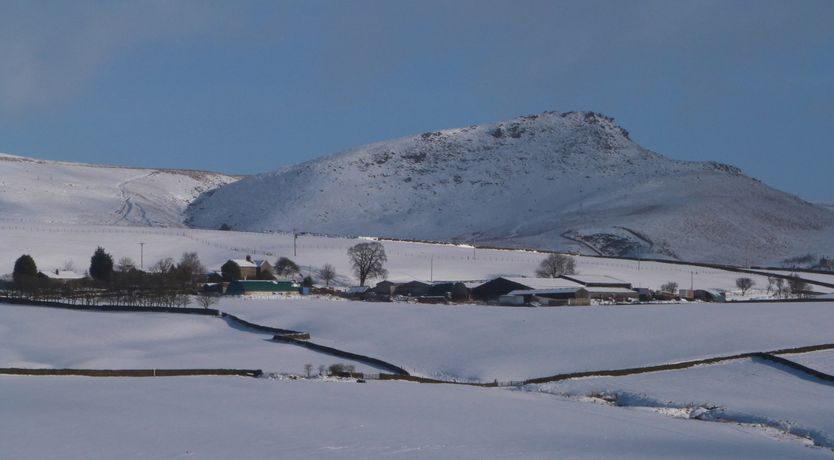 Photo of Woodpecker Lodge