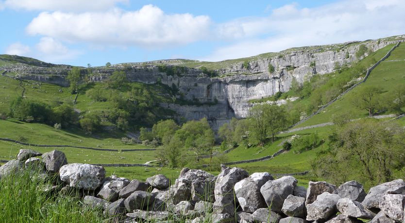 Photo of Woodpecker Lodge