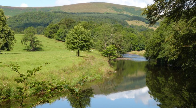 Photo of Woodpecker Lodge