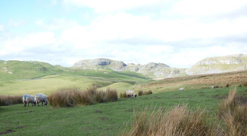 Photo of Woodpecker Lodge