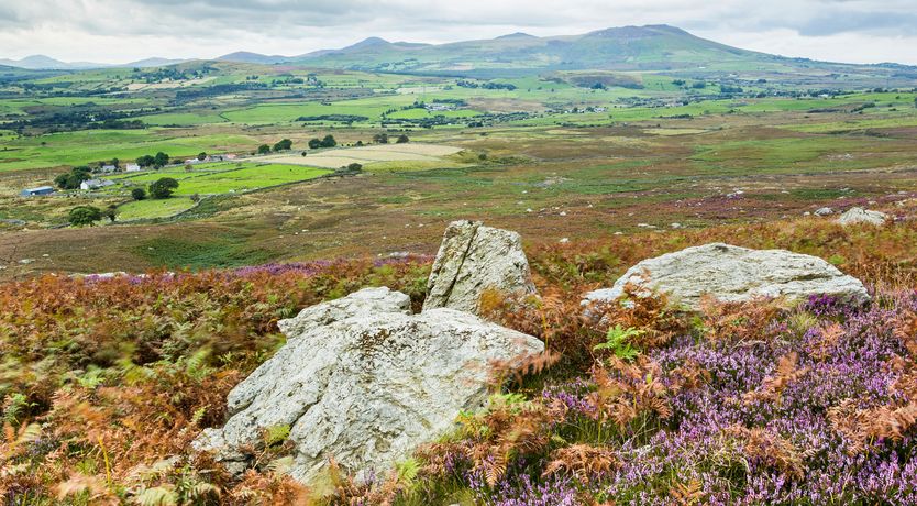 Photo of Tyn Y Gorlan