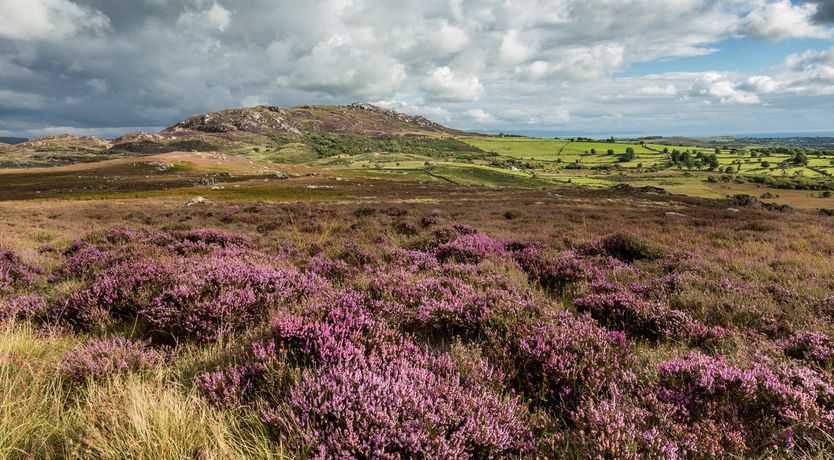 Photo of Tyn Y Gorlan