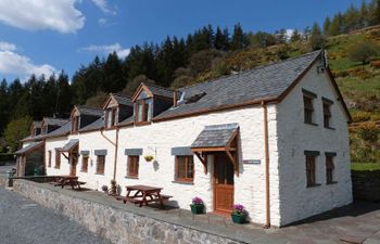 Trem Machno Holiday Cottage