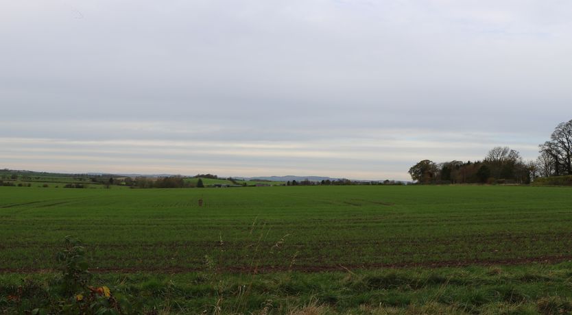 Photo of The Turkey House