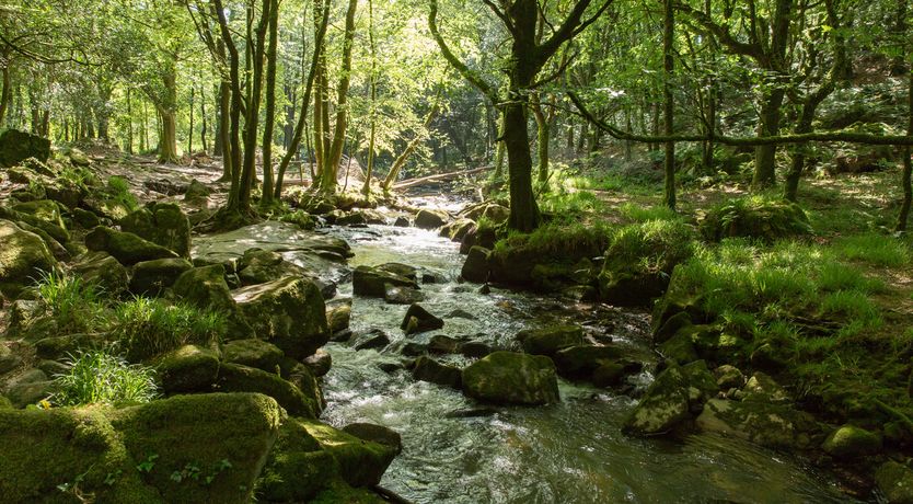 Photo of Tinners Cottage