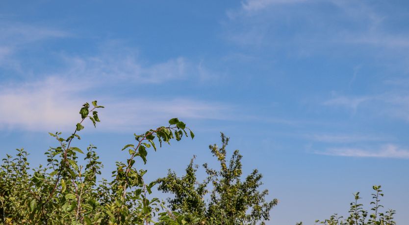 Photo of The Flat At Brwyn