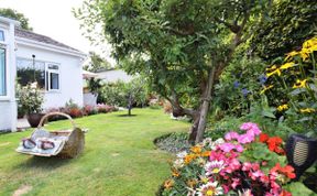 Photo of in Honiton (52420)