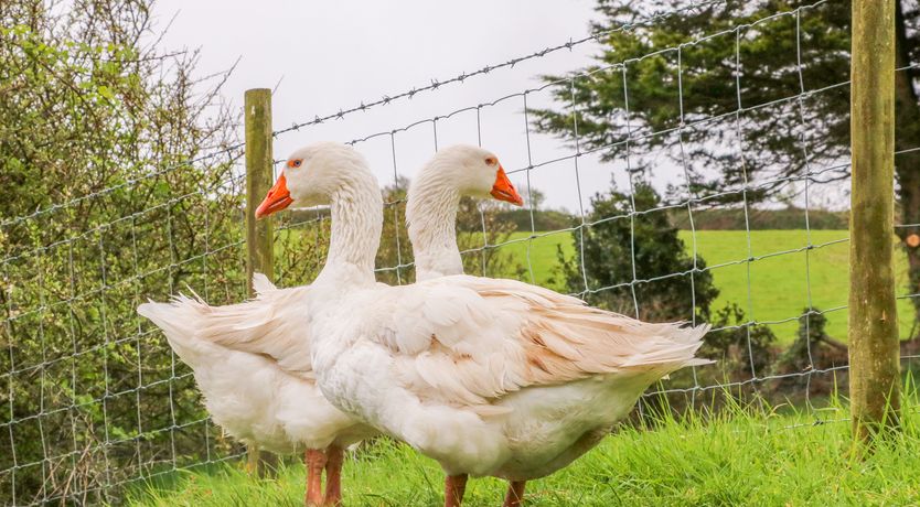 Photo of Martin Cottage