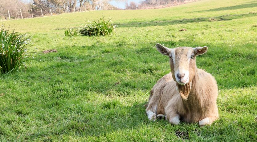 Photo of Martin Cottage