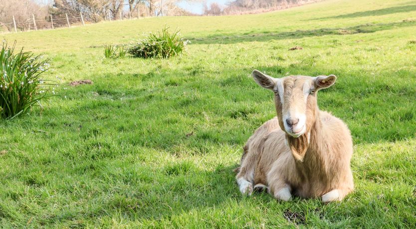 Photo of Partridge Cottage