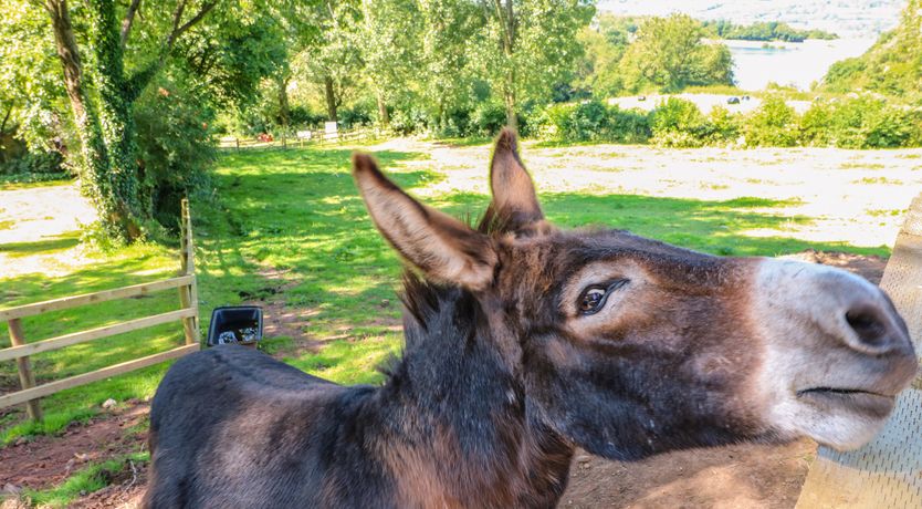 Photo of The Ivy Barn