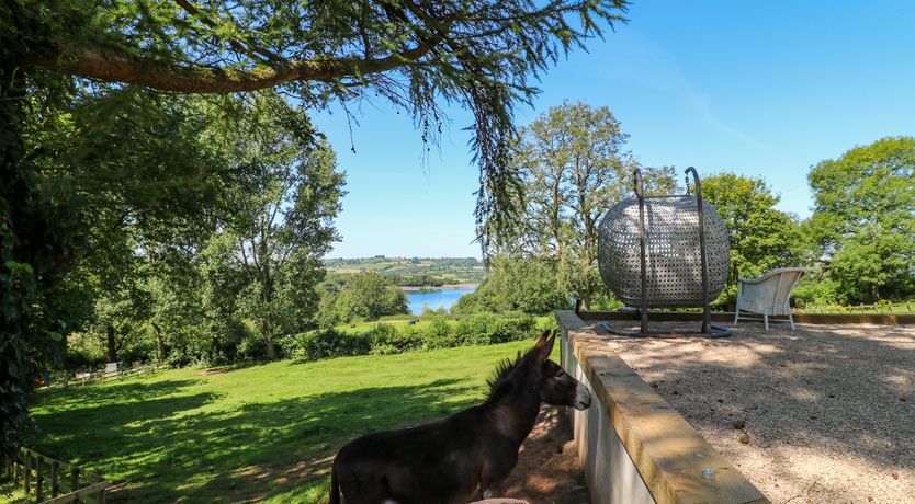 Photo of The Ivy Barn