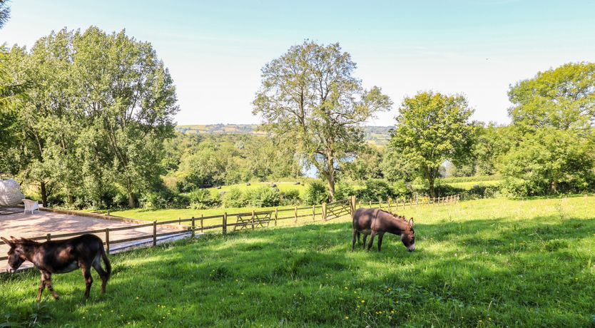 Photo of The Ivy Barn