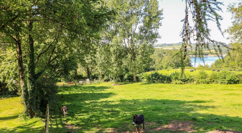Photo of The Ivy Barn